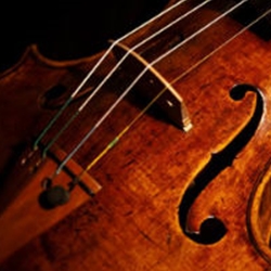 Orchestra