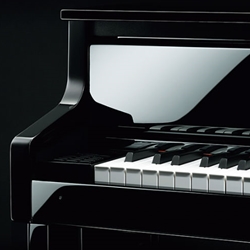 Digital Pianos
