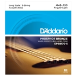 D'Addario EPBB170-5 Phosphor Bronze 5-String Acoustic Bass Strings, Long Scale, 45-130