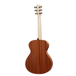 Taylor Academy 12-N - Layered Sapele back and sides