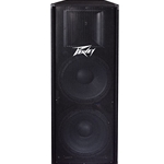 Peavey PV215 Passive Speaker