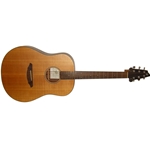 Breedlove Passport D20