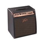 Peavey Ecoustic 110 EFX Guitar Amp