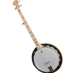 Goodtime Special 5-string Banjo with Resonator