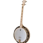 Goodtime 2, 19 Fret Tenor Banjo with Resonator