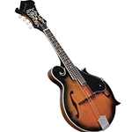 Savannah Mandolin F-Style