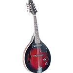 Savannah Electric A Mandolin w/electronics