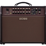 Boss Acoustic Singer Pro