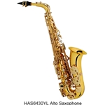 Hunter Musical Hunter Alto Saxophone Eb Student Level