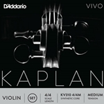 D'Addario Kaplan Vivo 4/4 Violin Set