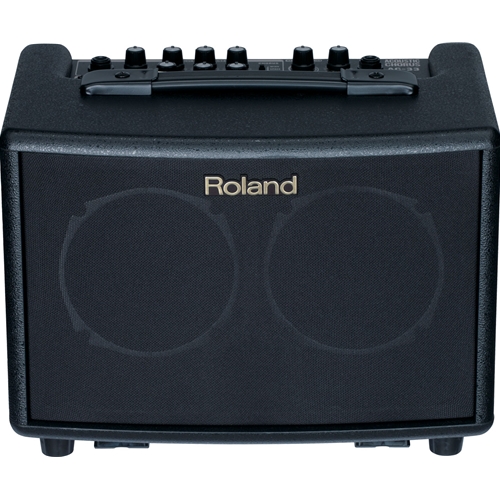 Dorsey Music - Roland Micro Cube GX (battery powered)
