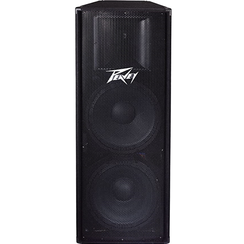 佐渡宿泊素泊まり　Peavey PR15 スピーカー 　国内希少 Dorsey Music - Peavey PR15 Passive Speaker