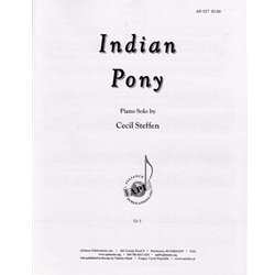 Indian Pony