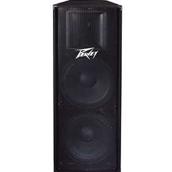 Peavey PV215 Passive Speaker