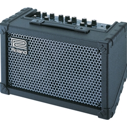 Roland Cube Street 2-Channel Guitar Amp (Optional: Batteries)