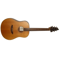 Breedlove Passport D20