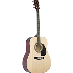 Johnson Guitar Natural Top