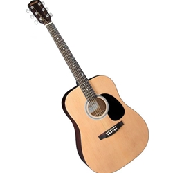 Johnson Guitar