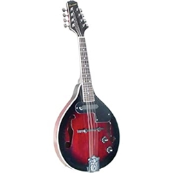 Savannah Electric A Mandolin w/electronics