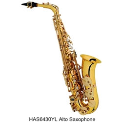 Hunter Musical Hunter Alto Saxophone Eb Student Level