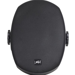 Peavey Impulse 5c install speaker